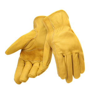 Motorcycle Gloves